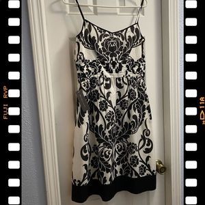 Ann Taylor  Silk Dress